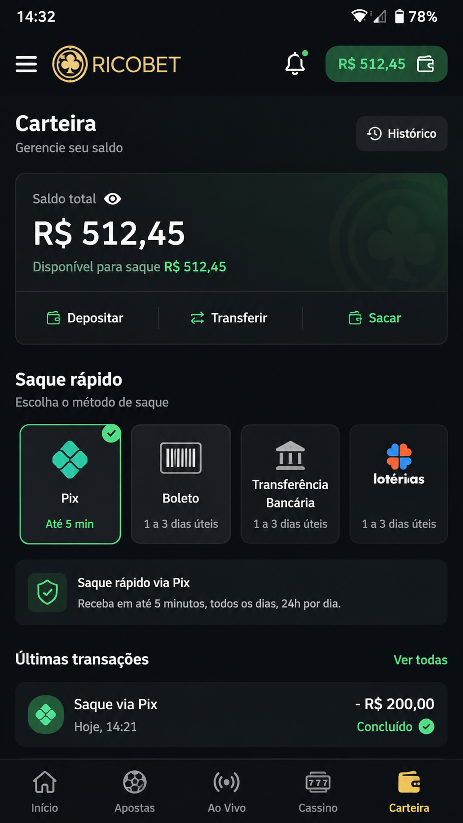 Ricobet screenshot